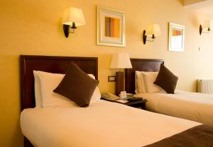 Montrose Hotel Dublin Twin Bedroom
