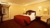 The Regency Airport Hotel Dublin Double Room
